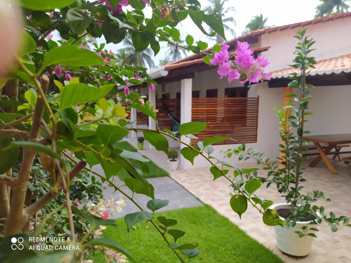 Casa Grande Bed and Breakfast Camocim Esterno foto